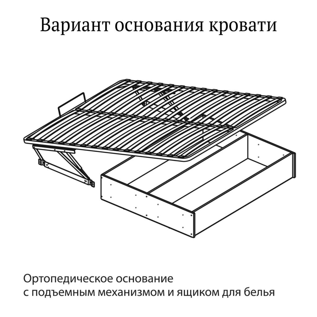 bed-base-ortho-box_-1024x1024