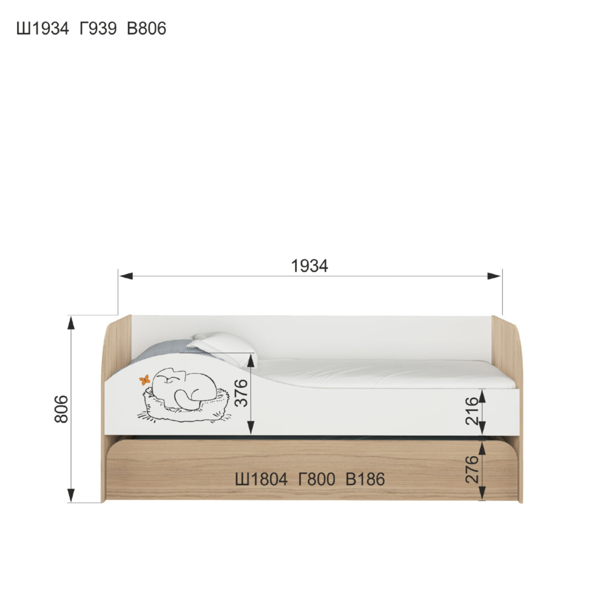 Kot900.1_f