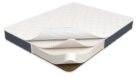 y-elastic-cocos-viv37